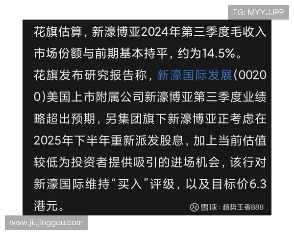 深入了解新濠国际发展有限公司的核心业务布局与行业竞争优势