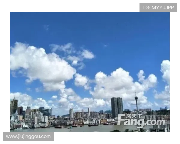 澳门华都线上网址下载入口，详细步骤与常见问题解决方案解析