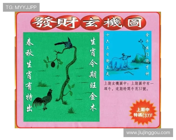 澳门彩体育投注技巧分享：专业分析帮助玩家提升中奖几率与盈利水平